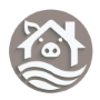 Pig Icon